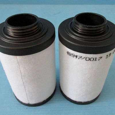 Filtre à gaz d'échappement Pn 731401-0000 pour l'élimination des impuretés d'huile