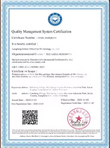 Chine Langfang Lvshen Filtration Technology Co., Ltd. certifications